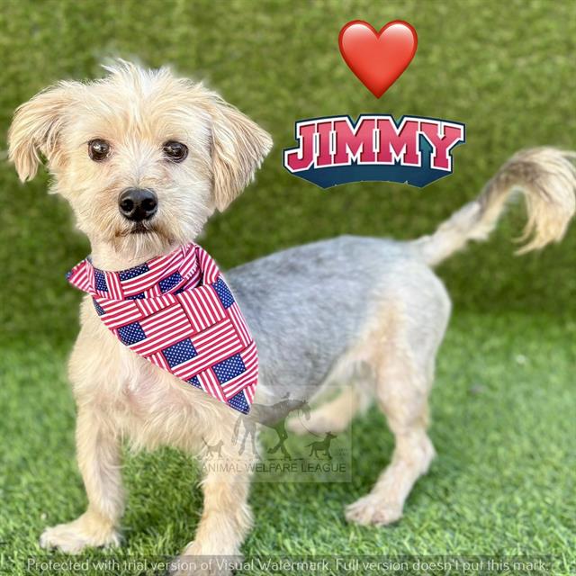 JIMMY