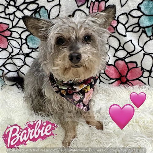 BARBIE
