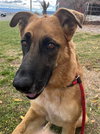CHEVY - Photo 1