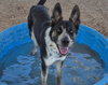 ZEUS - Photo 1