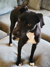 ARLO - Photo 1