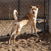 PENELOPE - Photo 1