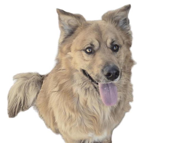 YUKON