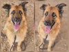 RUBI - Photo 1