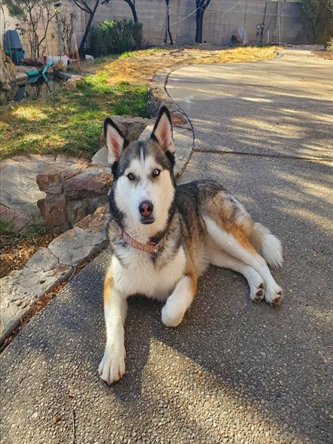 Luna