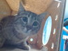 PEARL - Photo 1
