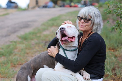 HOSS, a dog for adoption from Albuquerque Animal Services - Westside