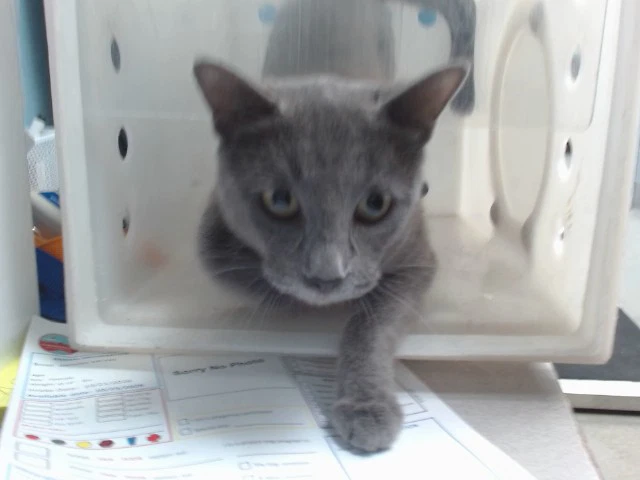 Mia