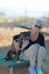 adoptable Dog in  named NUBIEN
