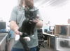 adoptable Cat in  named PEPPERJACK