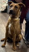 BARNABY - Photo 1