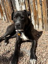 FLACO - Photo 1