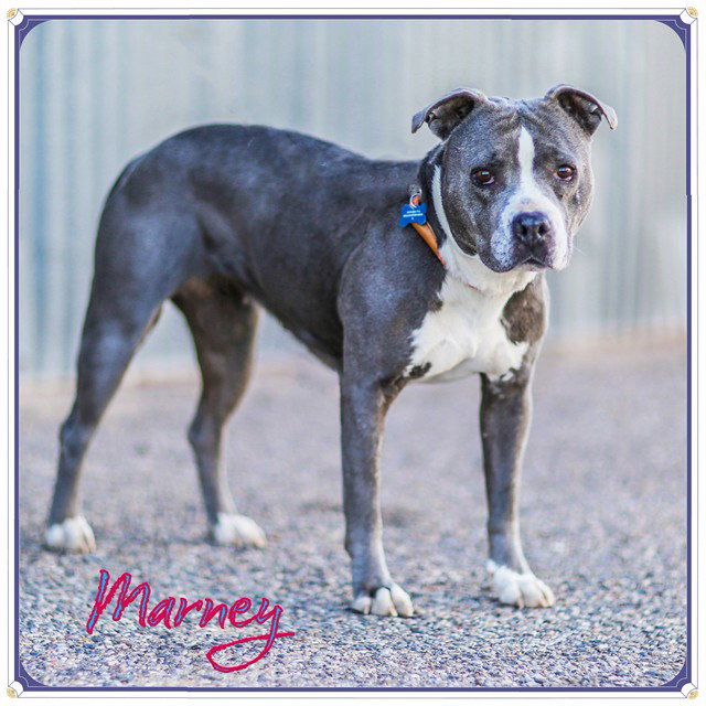 MARNEY Image
