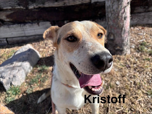KRISTOFF Image