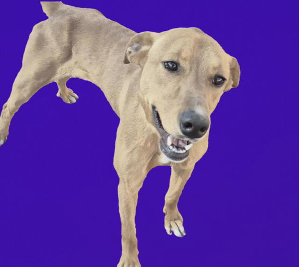 RU