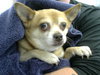 COCO - Photo 1