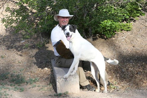 CHLOE, an adoptable American Pit Bull Terrier in Albuquerque, NM