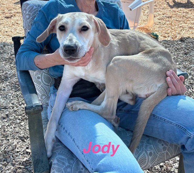 JODY Image