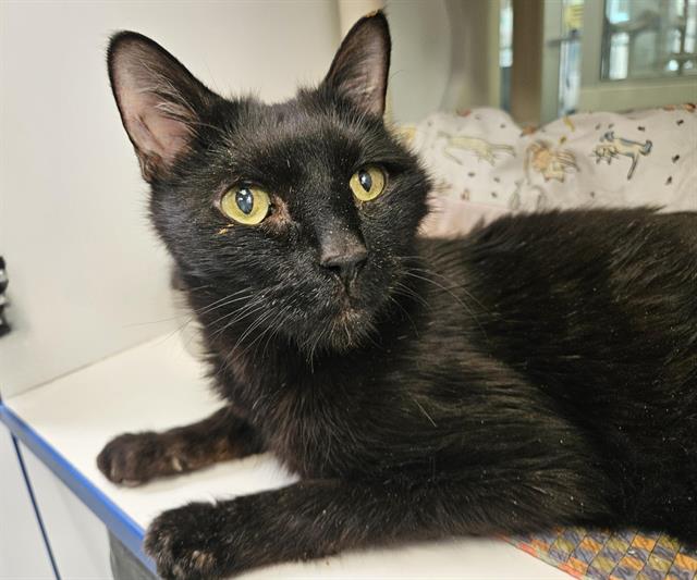 BINX Image