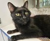 BINX - Photo 1