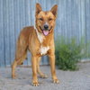 COCO - Photo 1