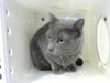 SAGE - Photo 1