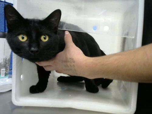 SALEM