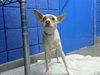 AUGIE - Photo 1