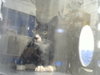 JERRY - Photo 1