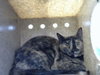 ANNA MARIE - Photo 1
