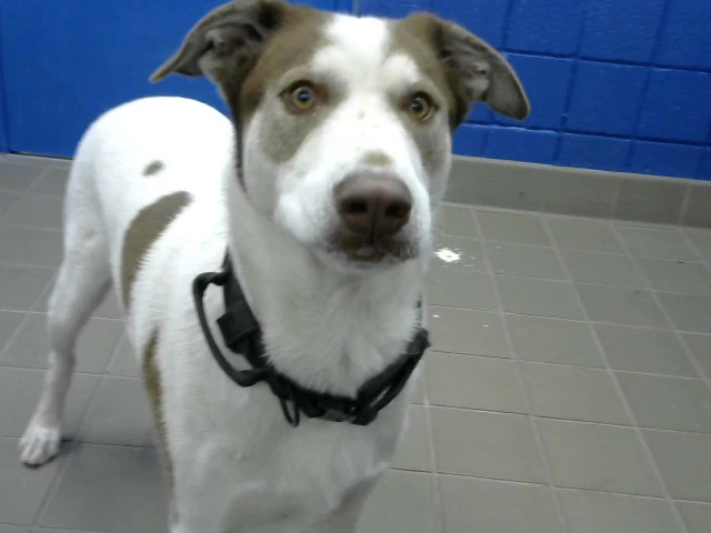 Max