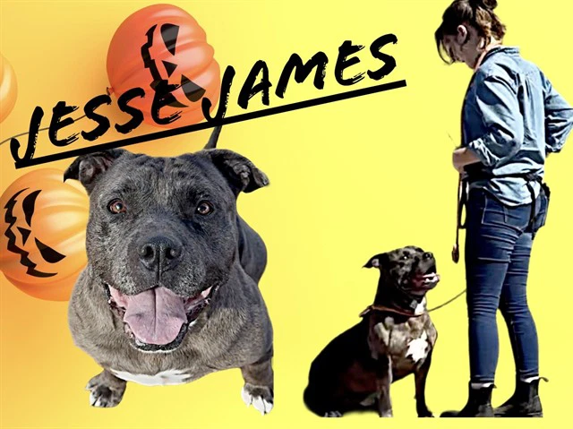 Jesse James