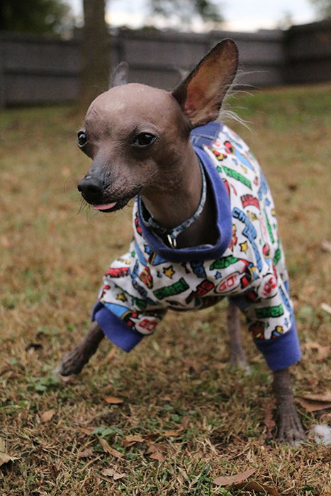 Paco