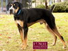 Milton - Photo 5