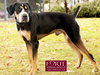 Milton - Photo 10
