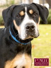 Milton - Photo 11