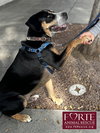 Milton - Photo 2