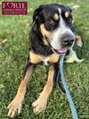 Milton - Photo 4