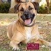 Josie - Photo 2