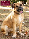 Josie - Photo 4