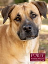 Josie - Photo 5