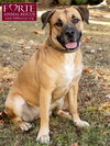 Josie - Photo 6