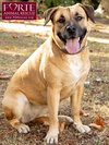 Josie - Photo 7