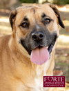 Josie - Photo 8