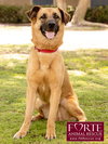 Lexi - Photo 6