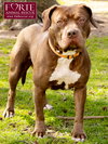 Frida - Photo 7