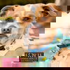 adoptable Dog in Marina Del Rey, CA named Wyatt