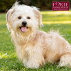 Pancho - Photo 1
