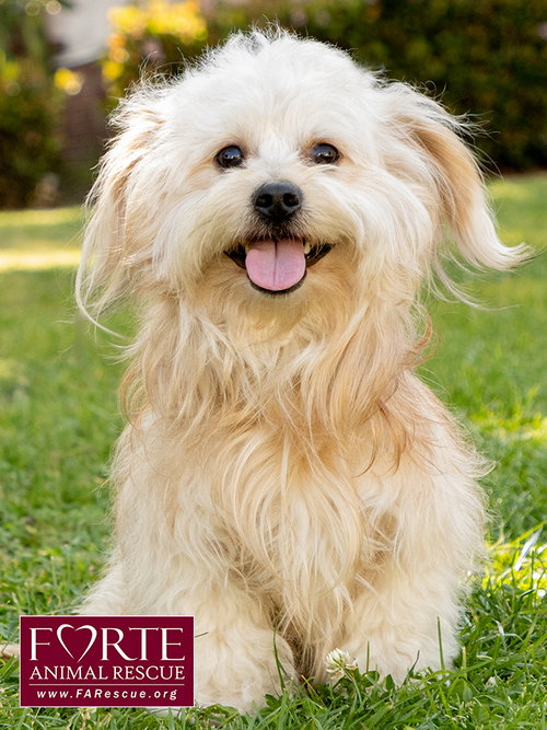 Photo of Pancho