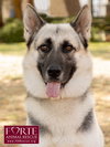 Maya - Photo 1